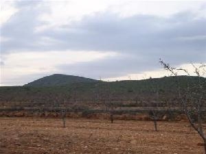 Pinoso property: Land for sale in Pinoso, Spain 49001