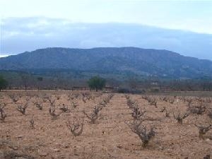 Pinoso property: Land with bedroom in Pinoso, Spain 49001