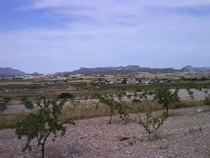 Pinoso property: Villa in Alicante for sale 49026