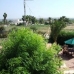 Elche property: Elche Villa, Spain 49040