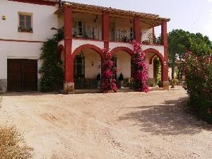 Jumilla property: House for sale in Jumilla 49048