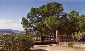 Jumilla property: House with 6 bedroom in Jumilla 49048