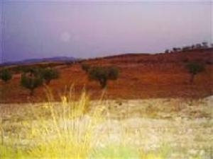 Pinoso property: Land for sale in Pinoso, Spain 49073