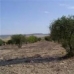 Yecla property: Murcia, Spain Land 49082