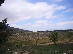 Pinoso property: Land for sale in Pinoso, Spain 49095