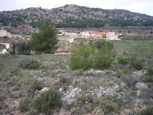 Pinoso property: Land in Alicante for sale 49095