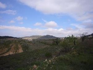 Pinoso property: Alicante property | bedroom Land 49095