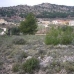 Pinoso property: Land in Pinoso 49095