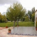 Fuente Alamo de Murcia property: 6 bedroom Villa in Murcia 49180