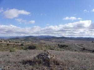 Yecla property: Land in Murcia for sale 49242