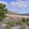 Yecla property: Land for sale in Yecla 49243