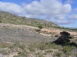 Yecla property: Land in Murcia for sale 49243