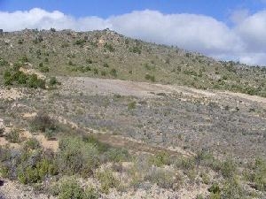 Yecla property: Murcia property | bedroom Land 49243