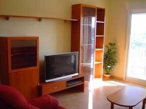 Duplex with 3 bedroom in town, Spain 49247