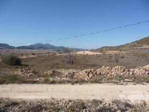 Jumilla property: Land for sale in Jumilla, Spain 49329