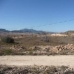 Jumilla property: Jumilla, Spain Land 49329