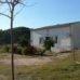 Sax property: Sax, Spain House 49334