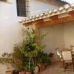 Sax property: 4 bedroom House in Alicante 49334