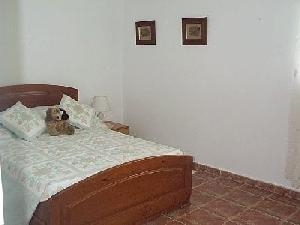 Alicante Villa 49341