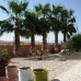 Fortuna property: 4 bedroom Villa in Fortuna, Spain 49349