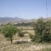 La Romana property: La Romana, Spain Land 49378