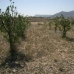 La Romana property: bedroom Land in Alicante 49378