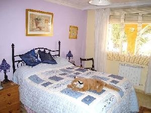 Villena property: Alicante Villa 49410