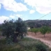 Pinoso property: Alicante Land, Spain 49420