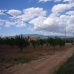 Pinoso property: Beautiful Land for sale in Pinoso 49420