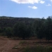 Pinoso property: Beautiful Land for sale in Alicante 49420