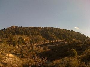 Jumilla property: Land with bedroom in Jumilla 49491