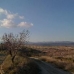 Jumilla property: Land in Jumilla 49491