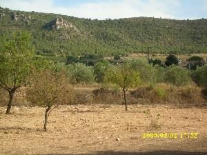 Villena property: Land for sale in Villena, Alicante 49535