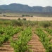 Villena property: Alicante, Spain Land 49535