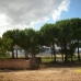 Villena property: Villena, Spain Land 49535