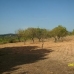 Villena property: Beautiful Land for sale in Alicante 49535