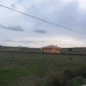 Pinoso property: Land for sale in Pinoso 49538