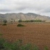 La Canalosa property: La Canalosa, Spain Land 49547