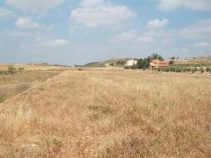 Jumilla property: Land for sale in Jumilla 49551