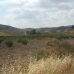 Jumilla property: Jumilla, Spain Land 49551