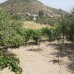 Bedar property: 4 bedroom Farmhouse in Bedar, Spain 49801