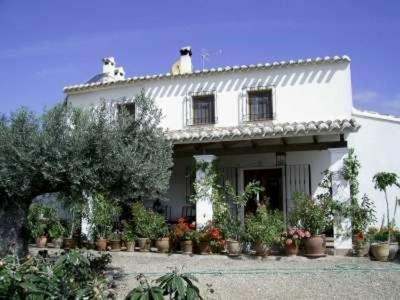 Lorca property: Farmhouse for sale in Lorca 49876