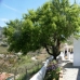 Competa property: Villa in Competa 53747