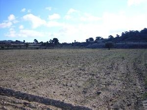 town, Spain | Land for sale 54317