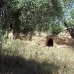 bedroom Cave House in town, Spain 54357