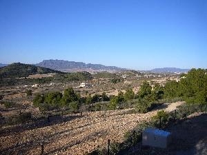 town, Spain | Villa for sale 54384