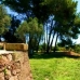 Costa de los Pinos property: 3 bedroom Finca in Costa de los Pinos, Spain 63538