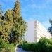 Portals Nous property: Mallorca Apartment, Spain 63544