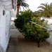 Moraira property: Beautiful Villa for sale in Alicante 64868