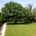 Orba property: 4 bedroom Finca in Orba, Spain 65078